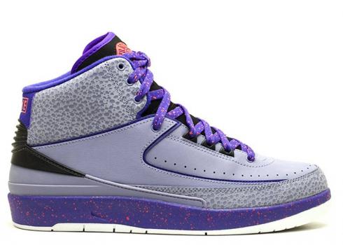 Air Jordan 2 Retro Iron Purple Concord 23 Infrared Dark 385475-553