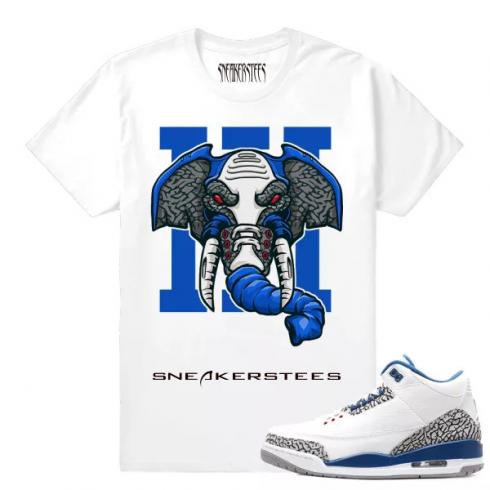 Match Jordan 3 True Blue OG Rare Air Elephant White T shirt