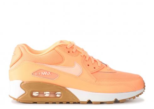 Wmns Air Max 90 Tint Sunset Glow 325213-802
