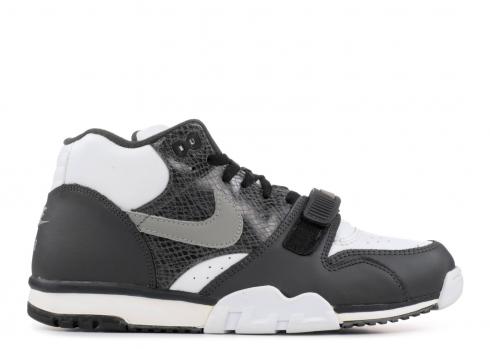 Air Trainer 1 Python Charcoal Medium Grey Dark White Anthracite 306530-101