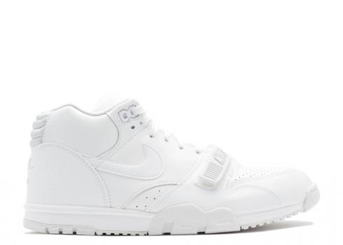 Nike Air Trainer 1 Mid Platinum White Pure 317554-102