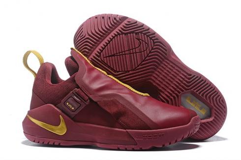 Nike Ambassador LBJ 11 Wine Gold AO2920-605