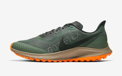 Nike Zoom Pegasus 36 Trail GTX BV7762-300