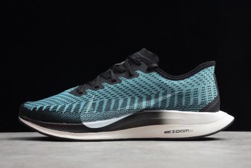 2020 Nike Zoom Pegasus Turbo 2 Pumice AT2863 006