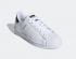 Adidas Superstar Cloud White Core Black Kids Shoes FW0819