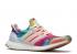 Adidas Nicekicks X Ultraboost Consortium Woodstock - White Boost Multicolor Gum EF7775