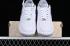 Nike Air Force 1 07 Low DIOR White Grey DR6239-836