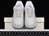 Nike Air Force 1 07 Low Dark Grey White Sail DG2296-003