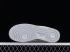 Nike Air Force 1 07 Low Light Smoke Grey White DO5220-166