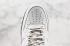 Nike Air Force 1 07 SE Premium Light Silvers Black White AH6827-003