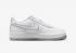 Nike Air Force 1 Low GS White Wolf Grey DX5805-100