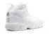 Air Jordan 9 Retro Gs 25th Anniversary White Silver Metallic 302359-106