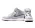 Nike Air Jordan 1 Mid BG Wolf Grey Cool Grey White Kids Shoes 554725-033