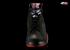 Air Jordan 7 Raptors Black True Red Dark Charcoal Club Purple 304775-018