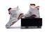 Nike Air Jordan Retro 6 VI ALTERNATE Hare White Platinum Red Men Shoes 384664-113