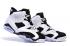 Nike Air Jordan VI 6 Retro BLACK WHITE OREO COOL GREY 384664 101 NEW