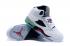 Nike Air Jordan Retro 5 V Pro Stars White Poison Green 136027 115