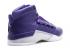 Air Jordan 17 Retro Rainbow Purple White Grey Metallic 239508-416