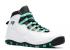 Air Jordan 10 Gg White Verde Black Infrared 705180-118