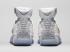 Air Jordan 20 - Laser White Metallic Silver 743991-100