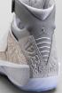 Air Jordan 20 - Laser White Metallic Silver 743991-100