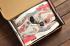 Air Jordan Legacy 312 Desert Camo Sail Desert Camo Infrared 23 AV3922 126