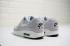 Nike Air Max 1 Premium Mini Swoosh Pure Platinum 875844-006