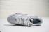 Nike Air Max 1 Premium Mini Swoosh Pure Platinum 875844-006