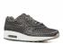 Wmns Nike Air Max 1 Prm Metallic White Summit Pewter 454746-015