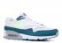 Nike Air Max 90 1 Grey Wolf Teal White Blast Geo Lime AJ7695-103