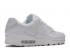 Nike Air Max 90 White CN8490-100