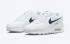 Nike Air Max 90 White Thunder Blue Green Noise Pollen DH1316-101