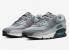 Nike Air Max 90 Wolf Grey Chlorine Blue Summit White DM0029-002