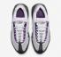 Nike Air Max 95 Next Nature Disco Purple Pearl Grey Noir DH8015-003