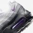 Nike Air Max 95 Next Nature Disco Purple Pearl Grey Noir DH8015-003