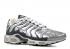 Nike Air Max Plus 1 Extra White Obsidian Silver Metallic 302746-011