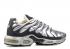 Nike Air Max Plus 1 Extra White Obsidian Silver Metallic 302746-011