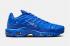 Nike Air Max Plus A-COLD-WALL House Blue Varsity Royal Cool Grey FD7855-400