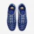 Nike Air Max Plus Arctic Chill Midnight Navy Team Royal CW7024-400