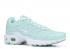 Nike Air Max Plus Gs Igloo White 718071-300