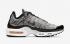 Nike Air Max Plus Rock Pebbles AR0970-001