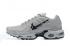 Nike Air Max Plus Wolf Grey Black Trainers Running Shoes CU3454-012