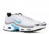 Nike Wmns Air Max Plus Qs Blue Silver 887092-002