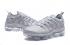 Nike Air Vapor Max Plus TN TPU Running Shoes Silver Grey