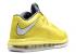 Nike Air Max Lebron 10 Low Sonic Yellow Cool Tour Grey Sail Yllw 579765-700