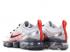 Nike Air VaporMax 2019 Pure Platinum Team Orange AR6631-003