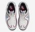 Nike Air Max Penny 2 Rosewood Summit White Rosewood Wolf Grey DV1163-100