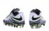 Nike Hypervenom Phantom II FG ACC Soccers Footabll Shoes Low White Green Grey