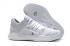 Nike Hyperdunk X Low EP White Pure Platinum AR0465 100