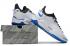 2021 Nike PG 5 EP White Black Royal Blue CW3146-504